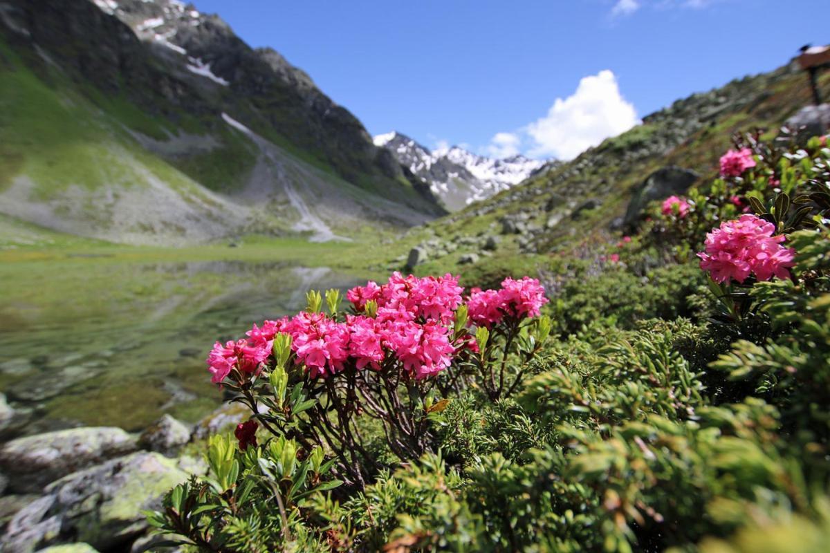 Pension Fuchs Pfunds Exteriér fotografie